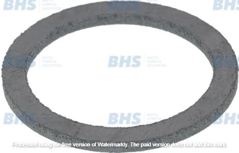 ASTORIA FLAT CARBO GASKET ø 53x42x3 mm L1186633