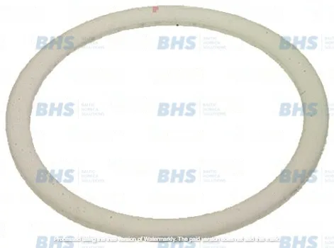 ASTORIA PTFE FLAT GASKET ø 58x43x2 mm L1186194
