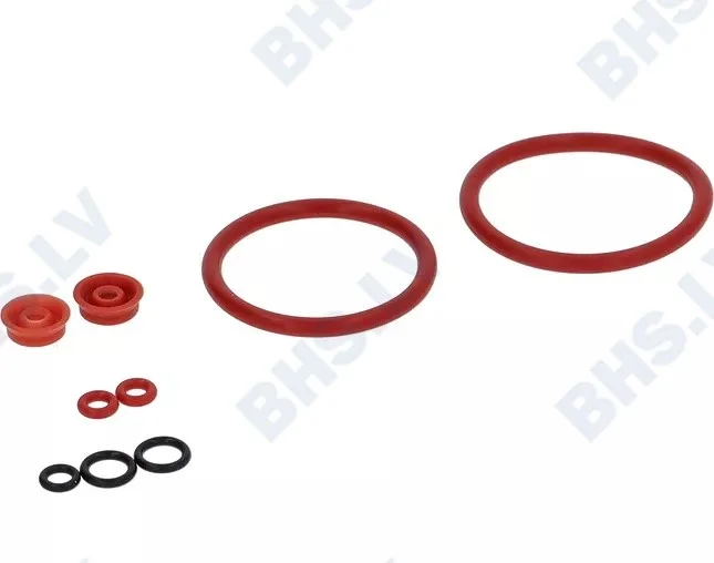 COFFEE GROUP REPAIR KIT L1901111