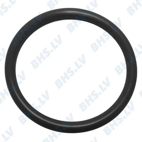 EXPOBAR O-RING 02050 EPDM L1186352