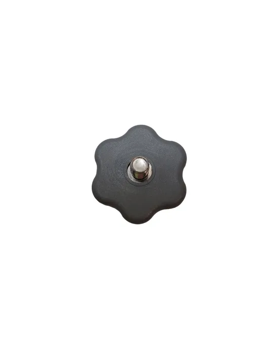 MOUNTING SCREW FOR ARMS SILANOS DISHWASHER C008924