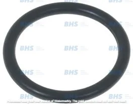 O-RING 04112 EPDM L1186480