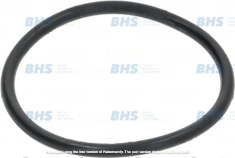 O-RING 04200 EPDM L3186601